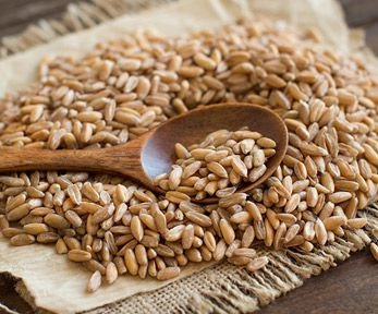 Farro perlato Farro perlato