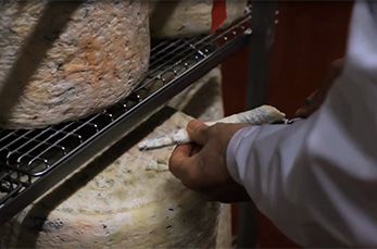 Come funzionano i controlli qualità?