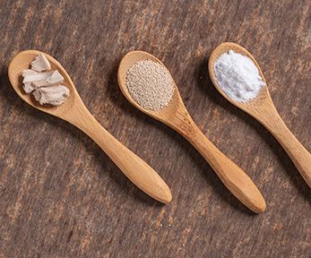 Differenze tra lievito di birra fresco e secco