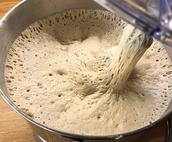 Lievitazione di 24 ore