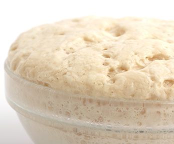 Lievitazione in frigo a 72 ore