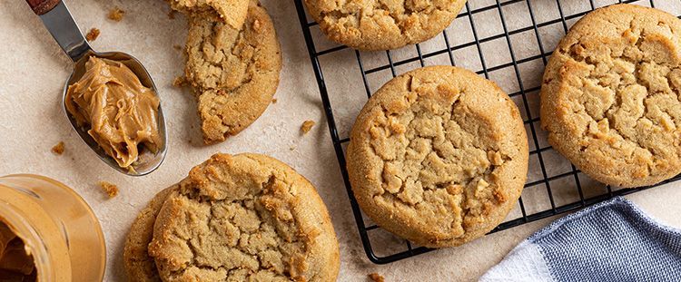 Quali biscotti secchi utilizzare per la cheesecake: ricette e suggerimenti 