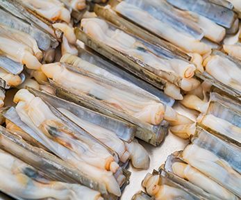 Come cucinare i cannolicchi gratinati al forno