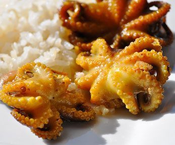 Come cucinare i moscardini al forno