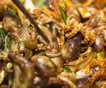 Come cucinare i moscardini in umido