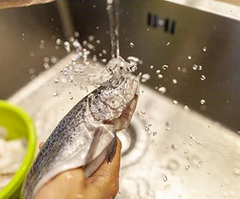 Come pulire il pesce Come pulire il pesce