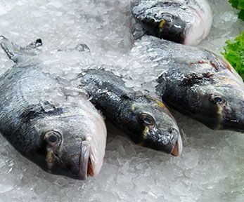 Come scegliere le orate