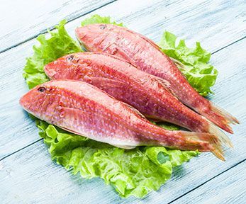 Di scoglio e di fango