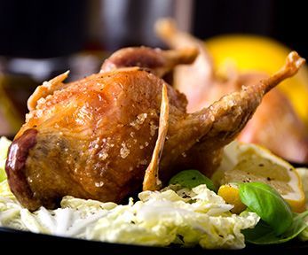 Come cucinare il piccione arrosto