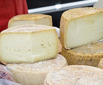 Come fare la crema di formaggio sarda Come fare la crema di formaggio sarda