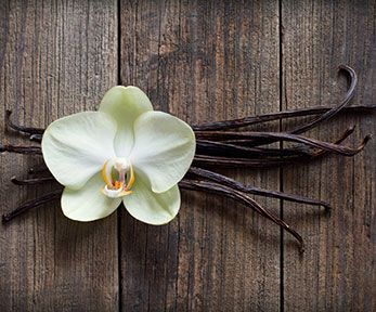 Che cos&rsquo;&egrave; la vaniglia?