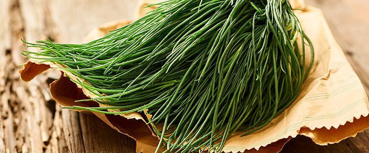 Come cucinare gli agretti