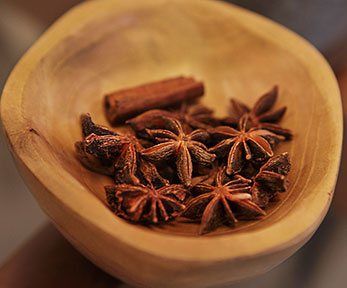 Impiego e caratteristiche