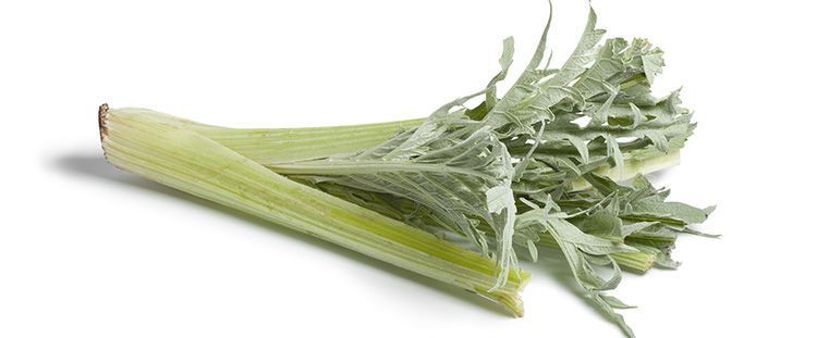 Come cucinare i cardi