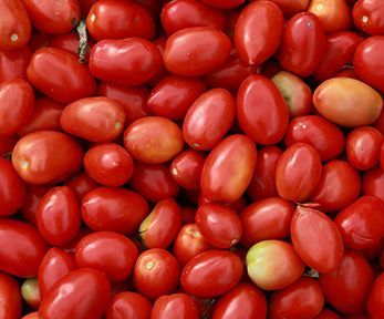 Troppo sale nei piatti a base di pomodoro