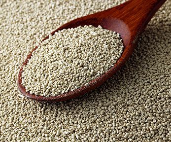 Come sostituire il lievito istantaneo