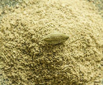 Come usare il cardamomo in polvere