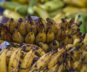 Come cucinare il platano maturo Come cucinare il platano maturo
