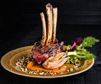Le migliori ricette di selvaggina Le migliori ricette di selvaggina