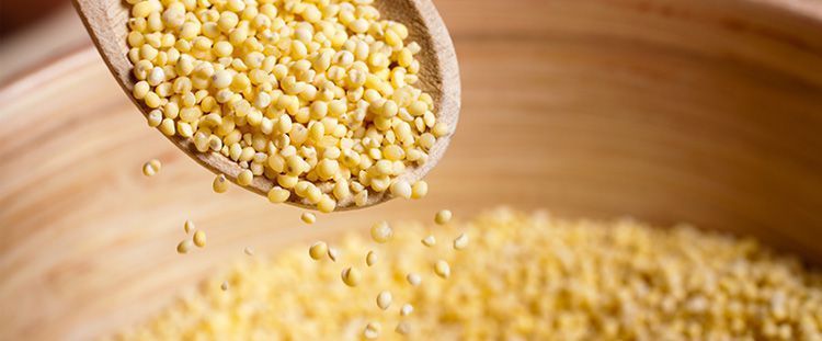 Come cucinare il miglio