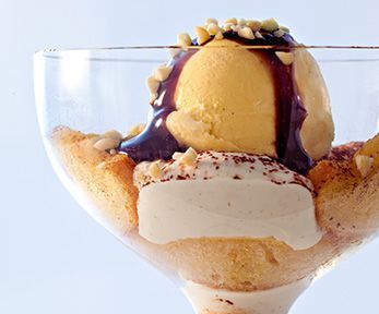 Come fare il gelato con l'estrattore Come fare il gelato con l'estrattore