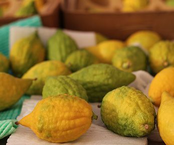 Come usare il cedro fresco