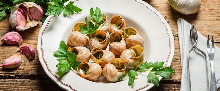 Come cucinare le lumache Come cucinare le lumache