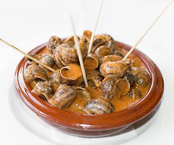 Come cucinare le lumache in umido Come cucinare le lumache in umido