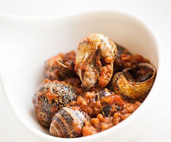 Come cucinare le lumache alla sarda Come cucinare le lumache alla sarda