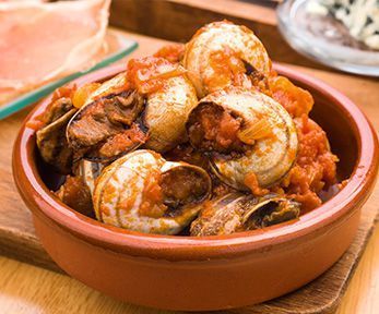 Come cucinare le lumache al sugo Come cucinare le lumache al sugo