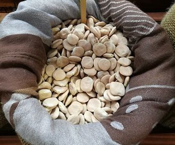 Come cucinare i lupini secchi Come cucinare i lupini secchi