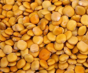 Come cucinare i lupini sottovuoto Come cucinare i lupini sottovuoto