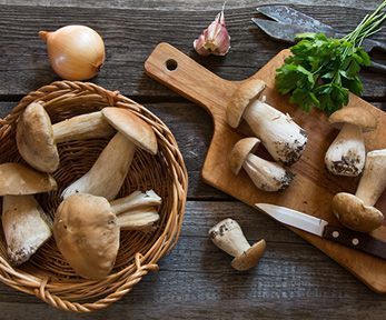 Come cucinare le orecchiette con i funghi Come cucinare le orecchiette con i funghi