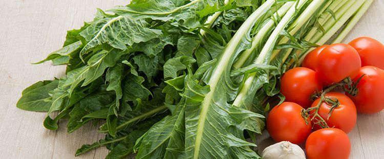 Come cucinare le puntarelle