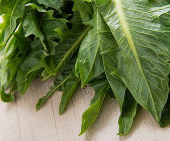 Come cucinare le foglie di puntarelle Come cucinare le foglie di puntarelle