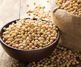 Come cucinare la soia in chicchi