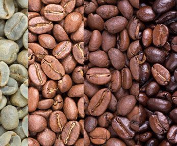 Le tipologie di caffè Le tipologie di caffè