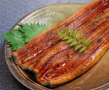 Come cucinare l'anguilla al forno