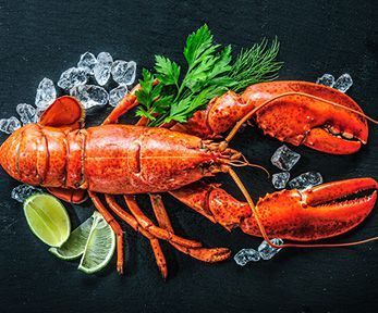 Come cucinare l'astice vivo