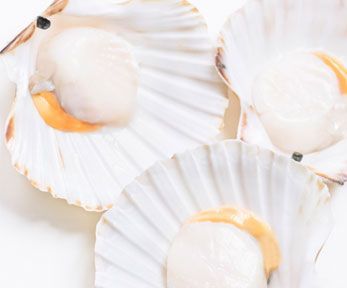 Come cucinare le capesante al forno