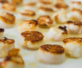 Come cucinare le capesante senza guscio