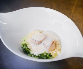 Capesante in salsa Mornay