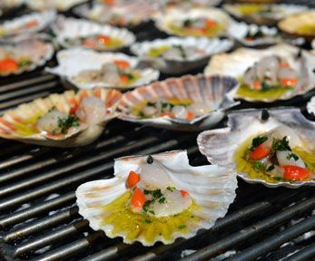 Come cucinare le capesante alla piastra