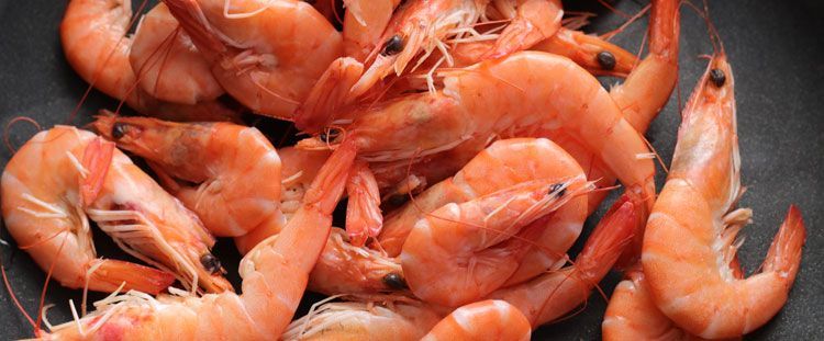 Come cucinare le mazzancolle