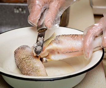 Come pulire e lavare il merluzzo