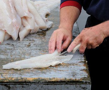 Come tagliare il merluzzo