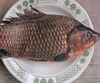 Come pulire il pesce con squame