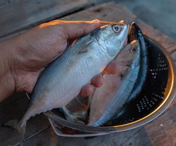 Come pulire il pesce senza squame