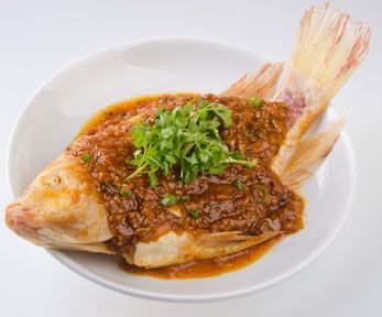 Cucinare lo scorfano in umido Cucinare lo scorfano in umido