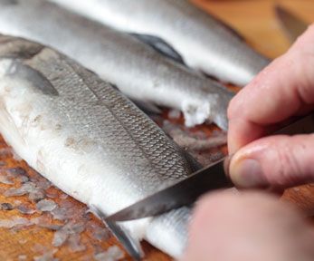 Come sfilettare il pesce senza desquamatore